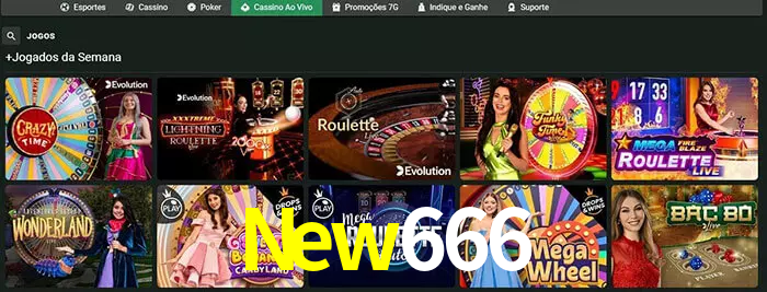New666 bet